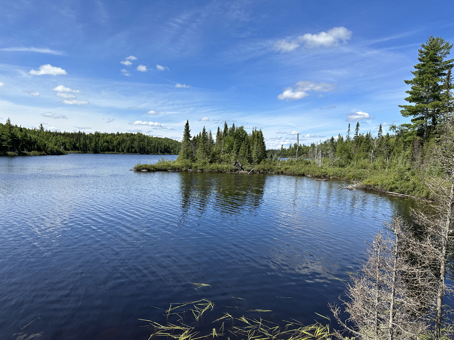 Juno Lake Campsite 8