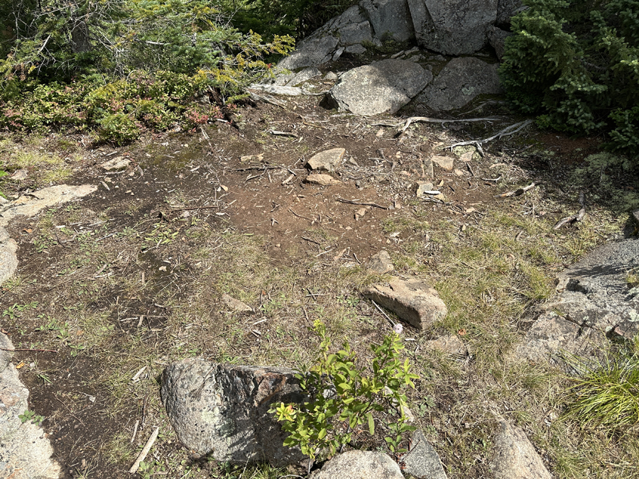 Juno Lake Campsite 4