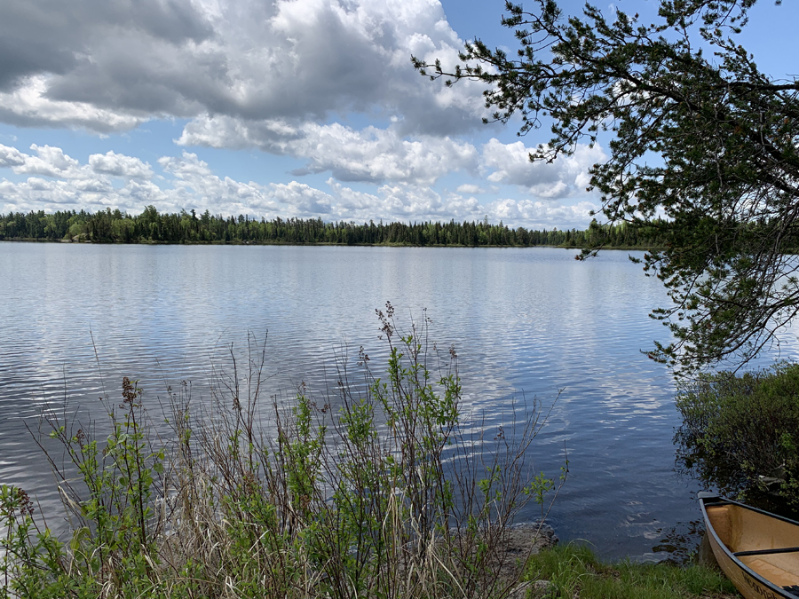 Kawishiwi Lake Campsite 8