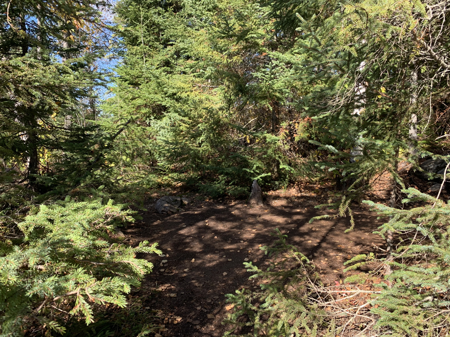 Kelso Lake Campsite 4