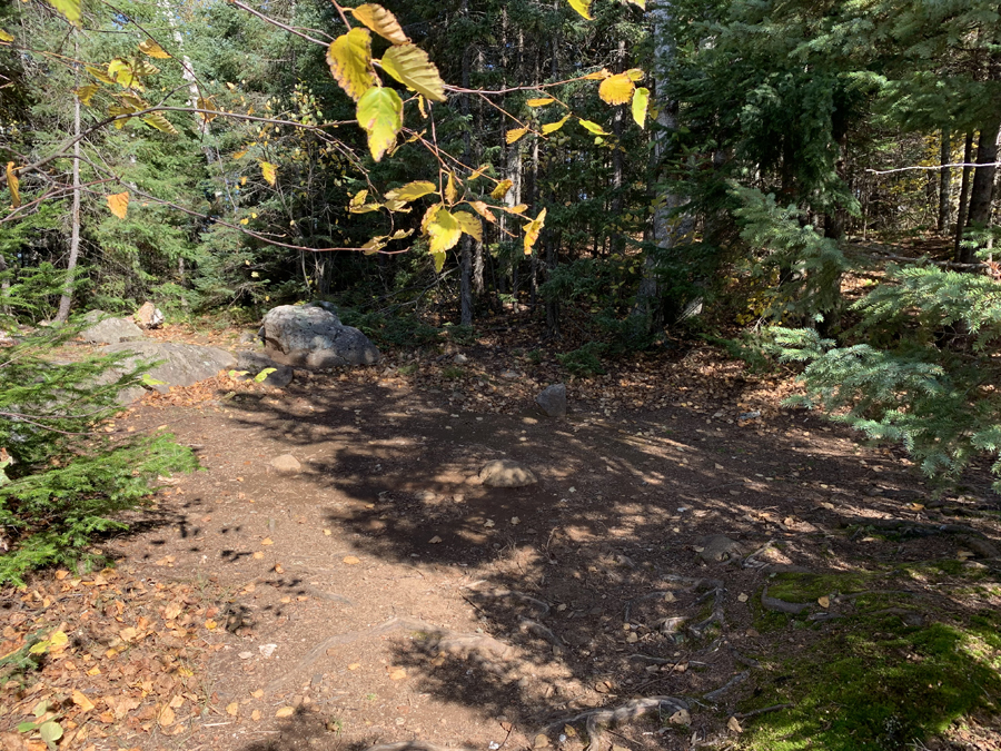 Kelso Lake Campsite 5