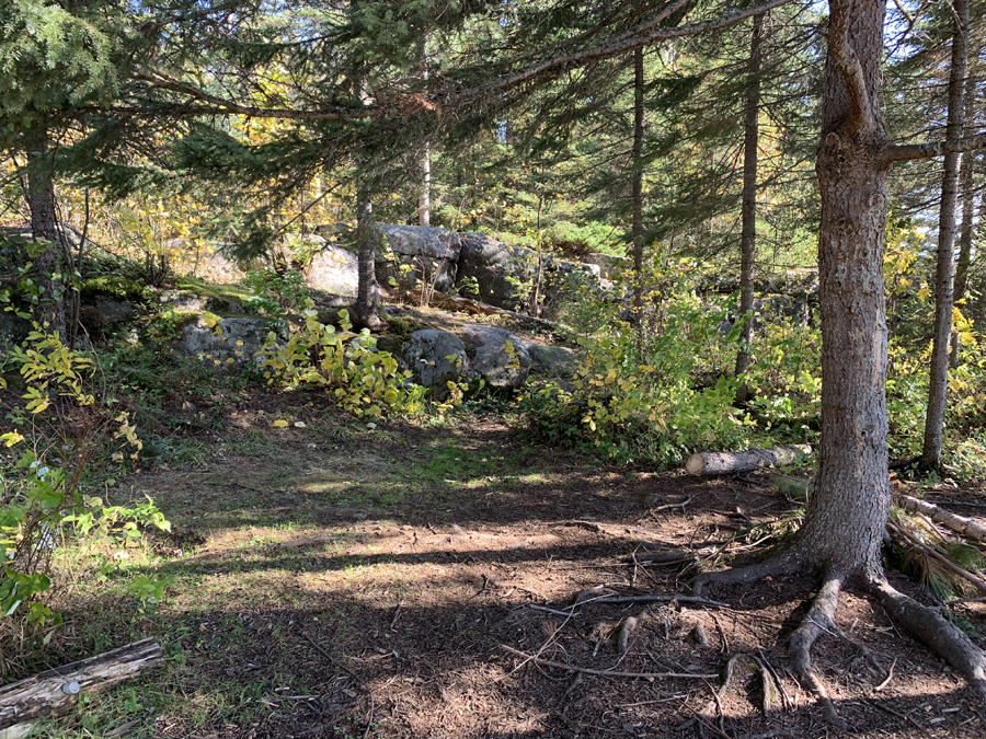 Kelso Lake Campsite 4