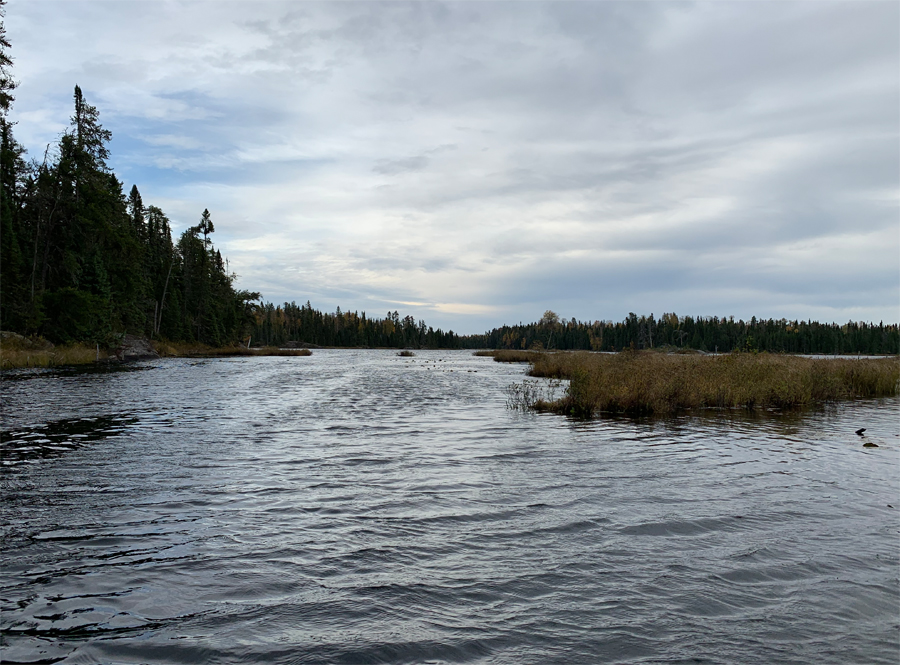 Kelso Lake 6