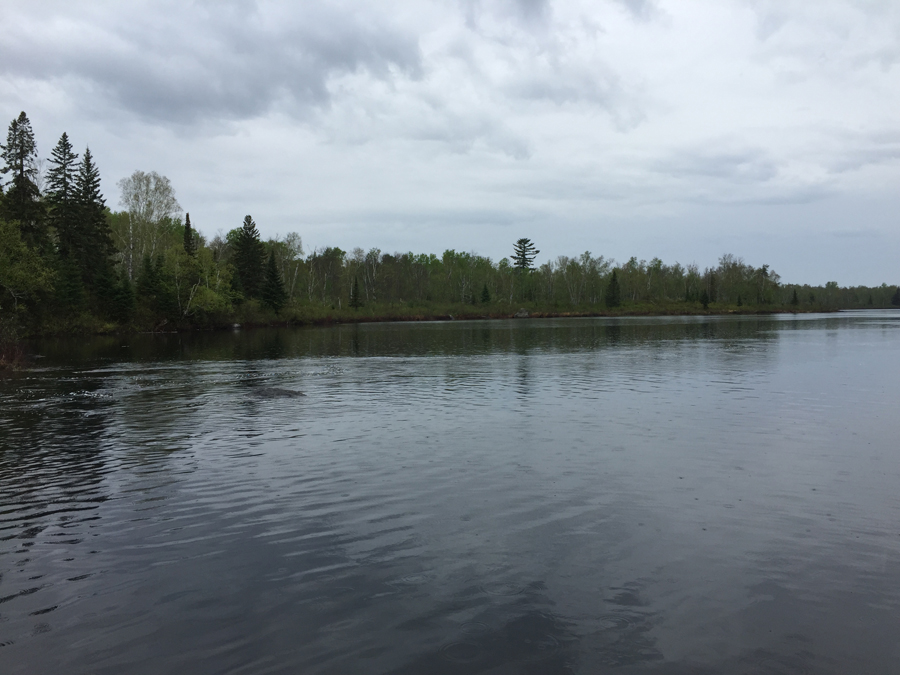 Malberg Lake 2