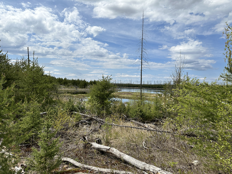 Marathon Lake Campsite 2