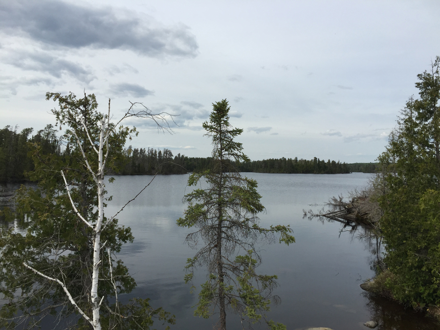 Lake Polly to Townline Lake Portage 3