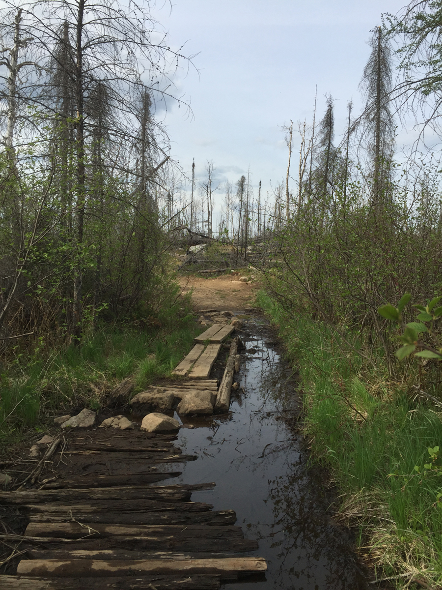 Lake Polly to Townline Lake Portage 2