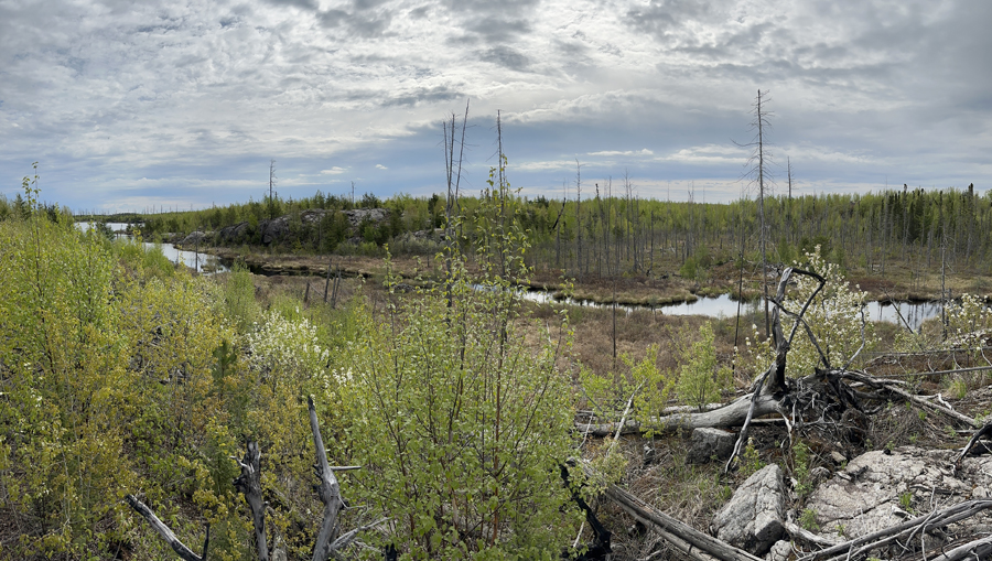 Rock of Ages Creek 1