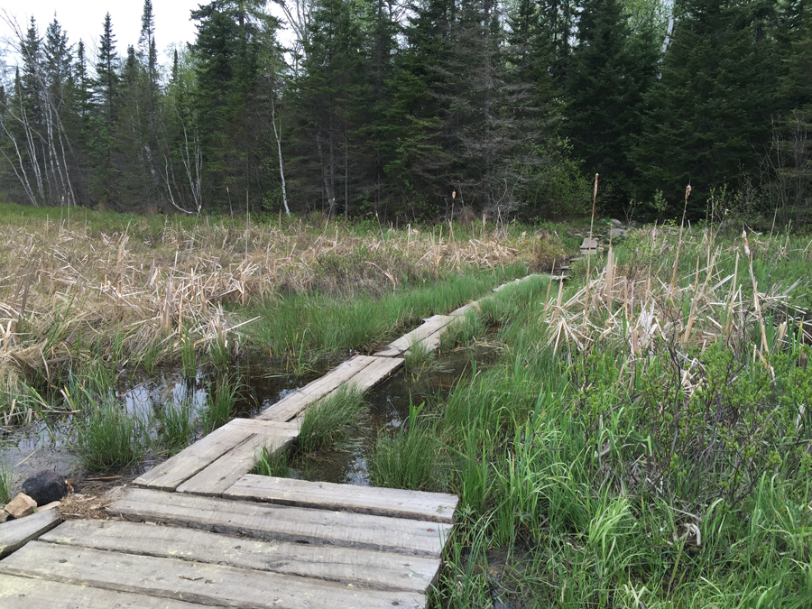 Sawbill Lake to Smoke Lake Portage 1