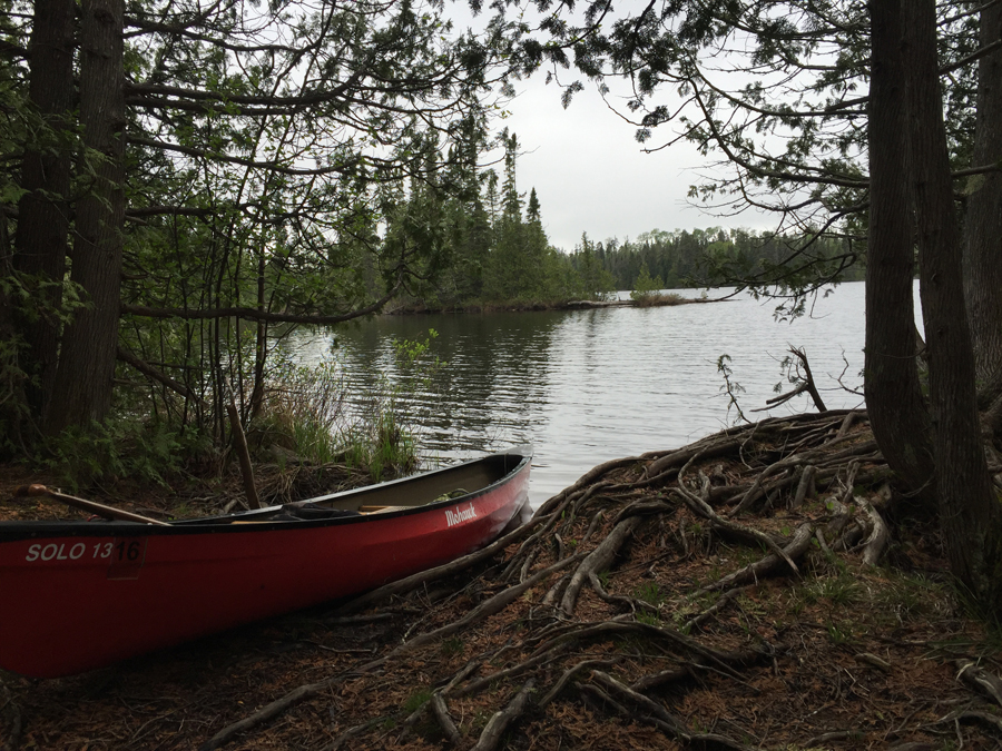 Sawbill Lake Campsite 1