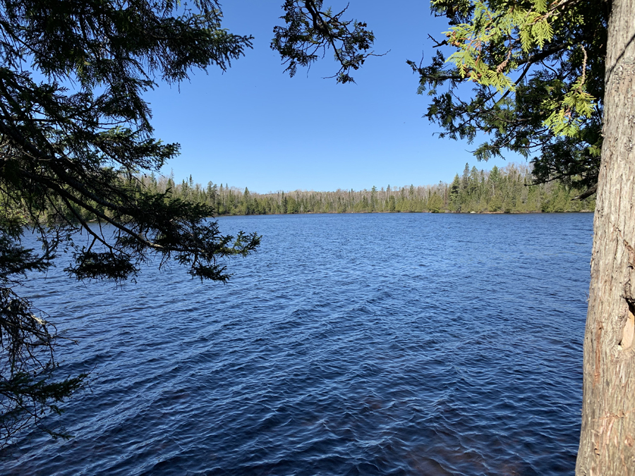 Sawbill Lake Campsite 7