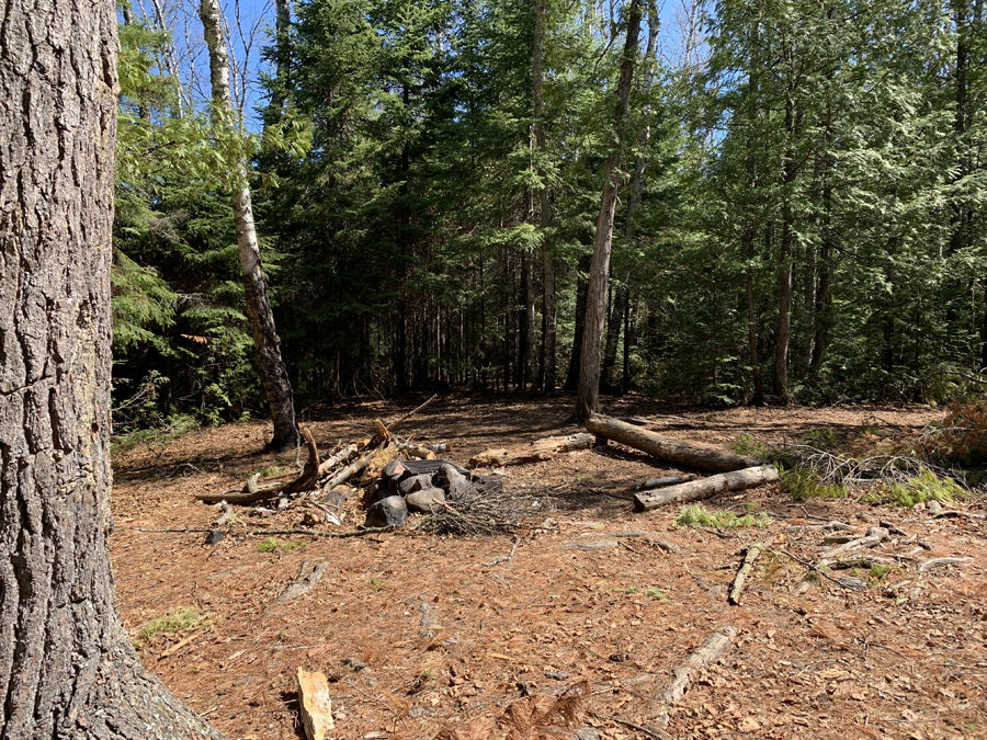 Sawbill Lake Campsite 2