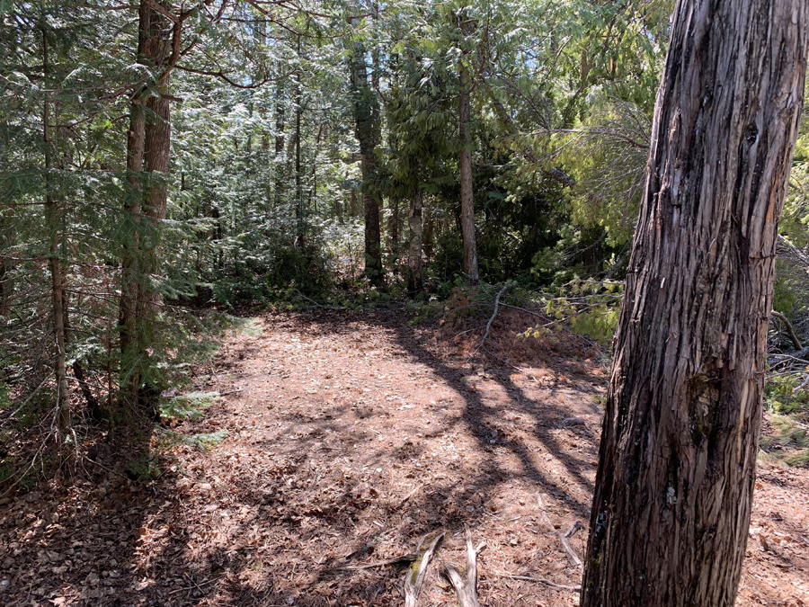 Sawbill Lake Campsite 4