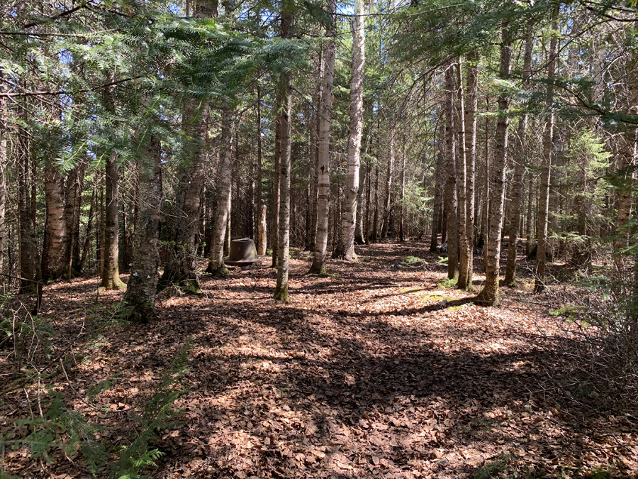 Sawbill Lake Campsite 6