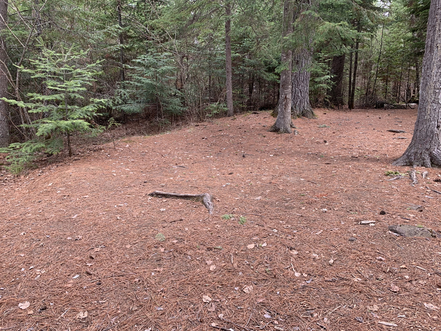 Sawbill Lake Campsite 5