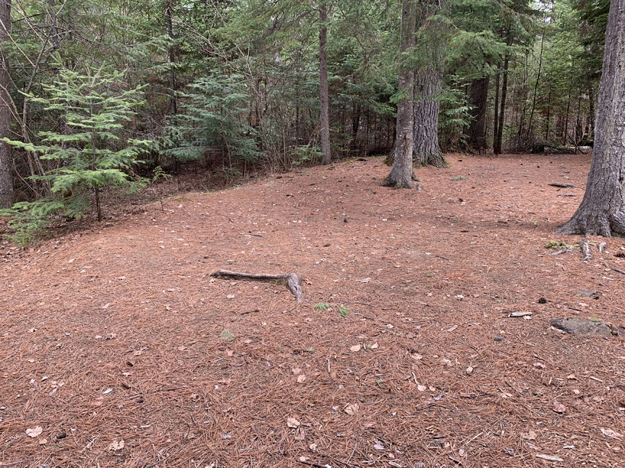 Sawbill Lake Campsite 5