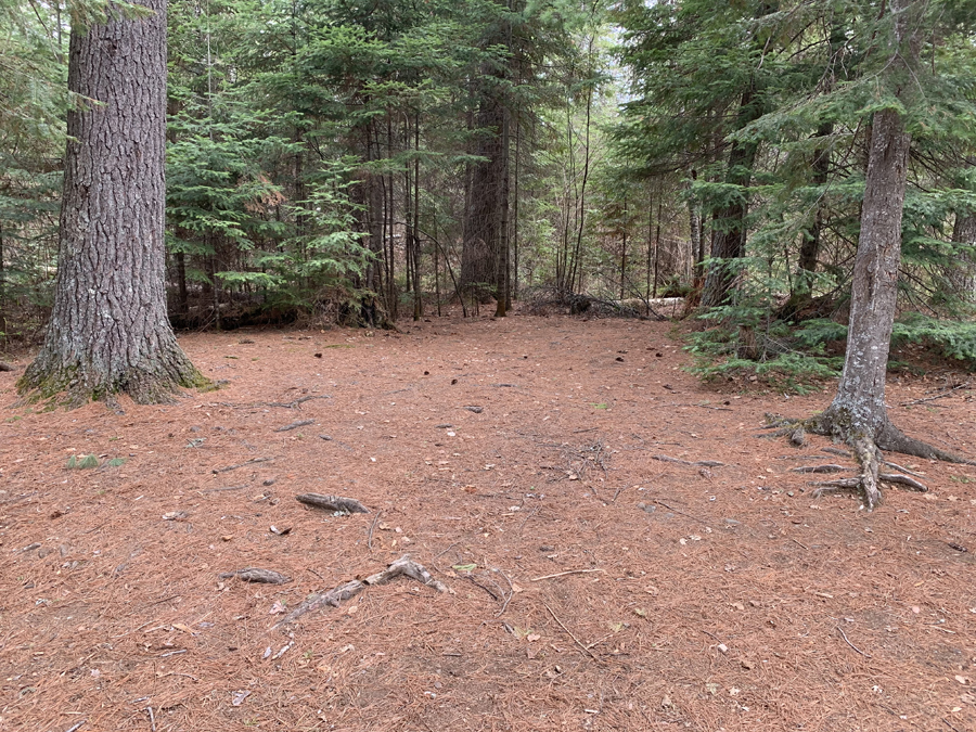 Sawbill Lake Campsite 6