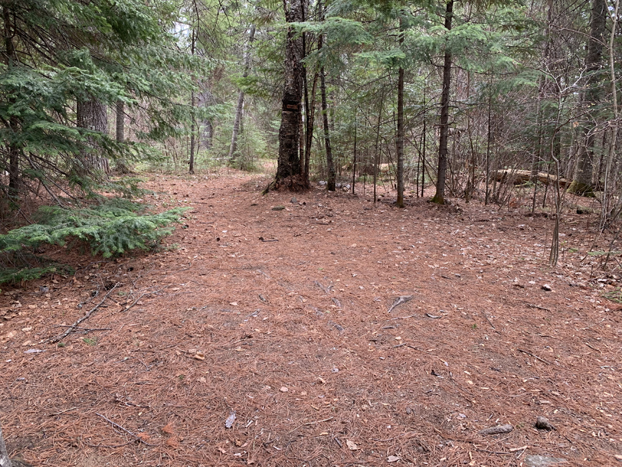 Sawbill Lake Campsite 7