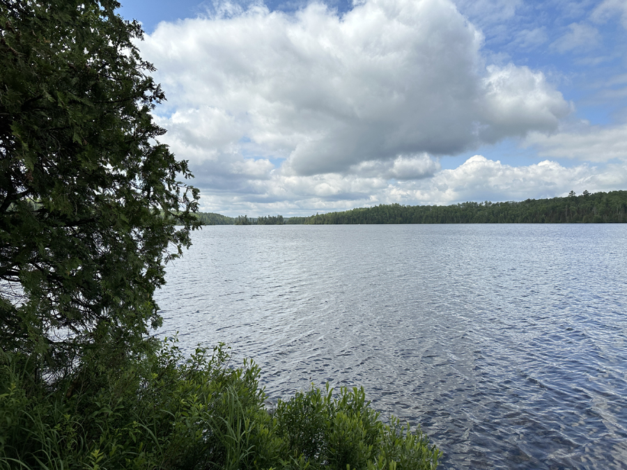 Sawbill Lake Campsite 8