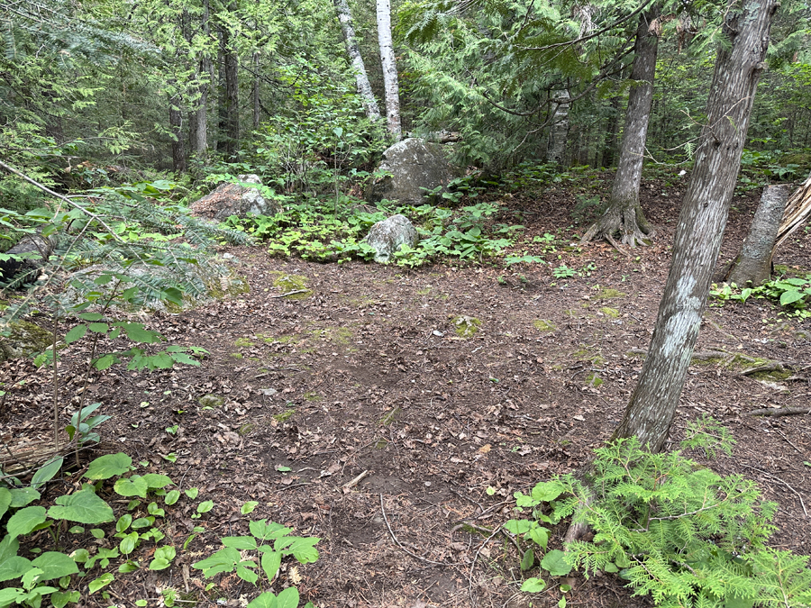 Sawbill Lake Campsite 6