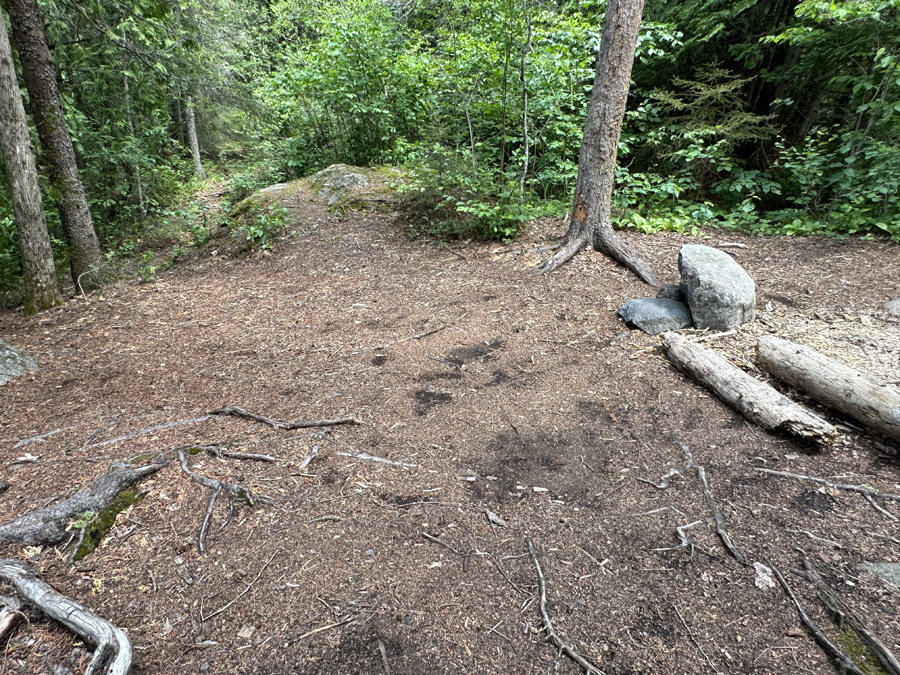 Sawbill Lake Campsite 4