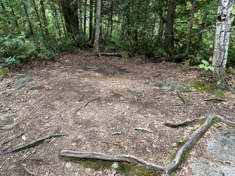 Sawbill Lake Campsite 5