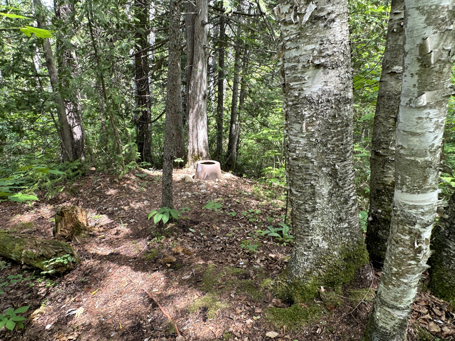 Sawbill Lake Campsite 9