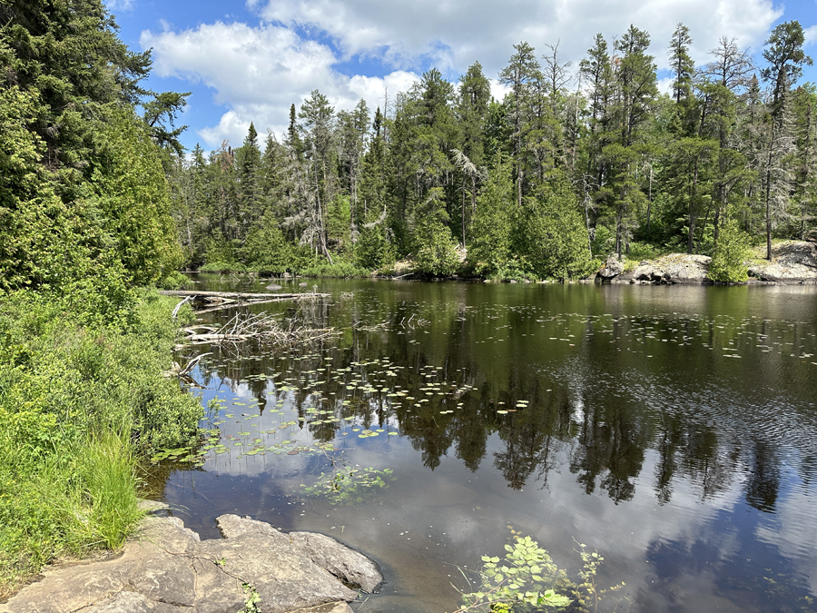 Sawbill Lake Campsite 8