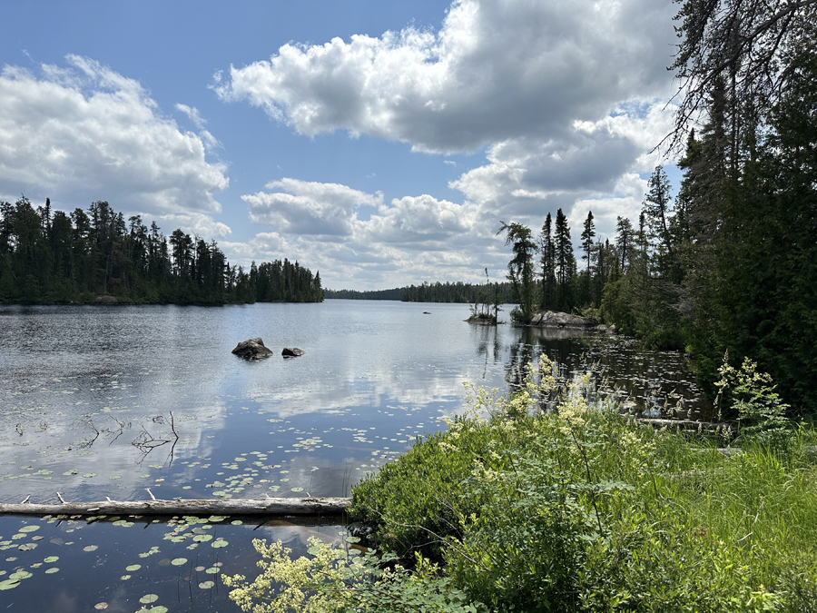 Sawbill Lake Campsite 9