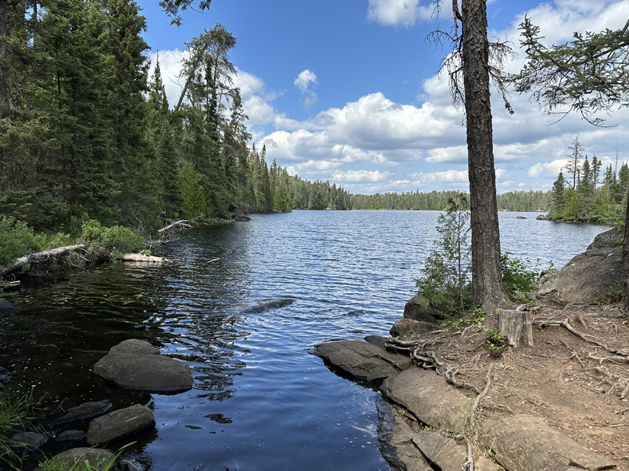 Sawbill Lake Campsite 10