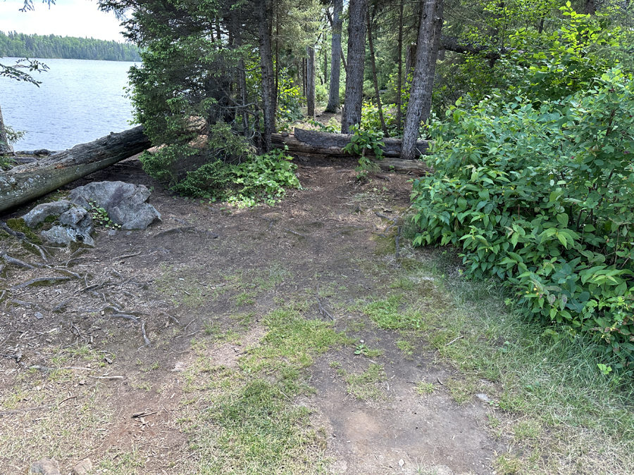 Sawbill Lake Campsite 4