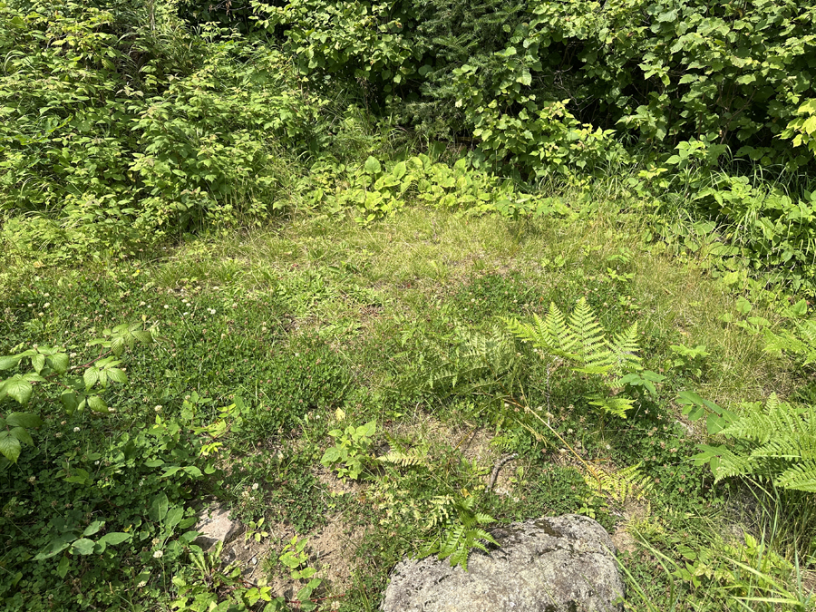 Smoke Lake Campsite 5