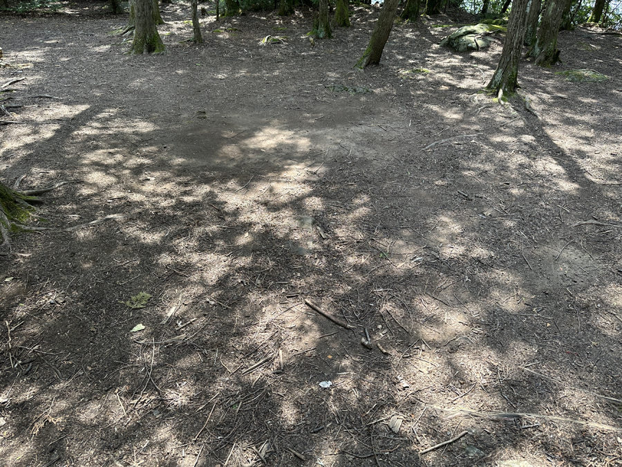 Smoke Lake Campsite 13