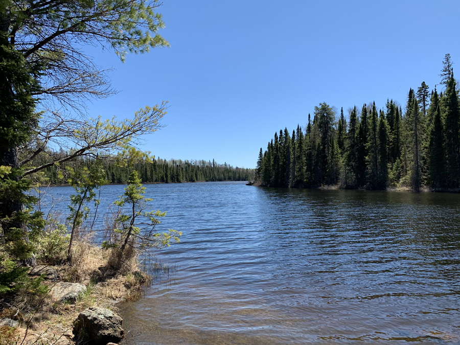 Smoke Lake Campsite 11