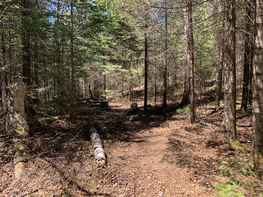 Smoke Lake Campsite 7