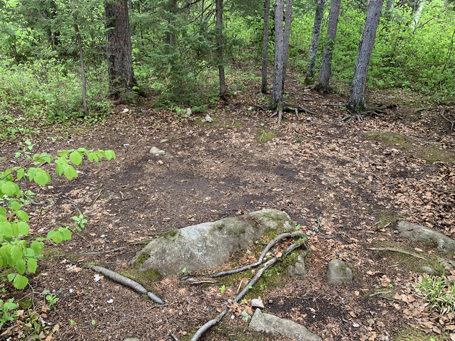 Square Lake Campsite 6