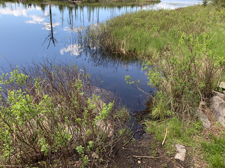 Square Lake Campsite 2