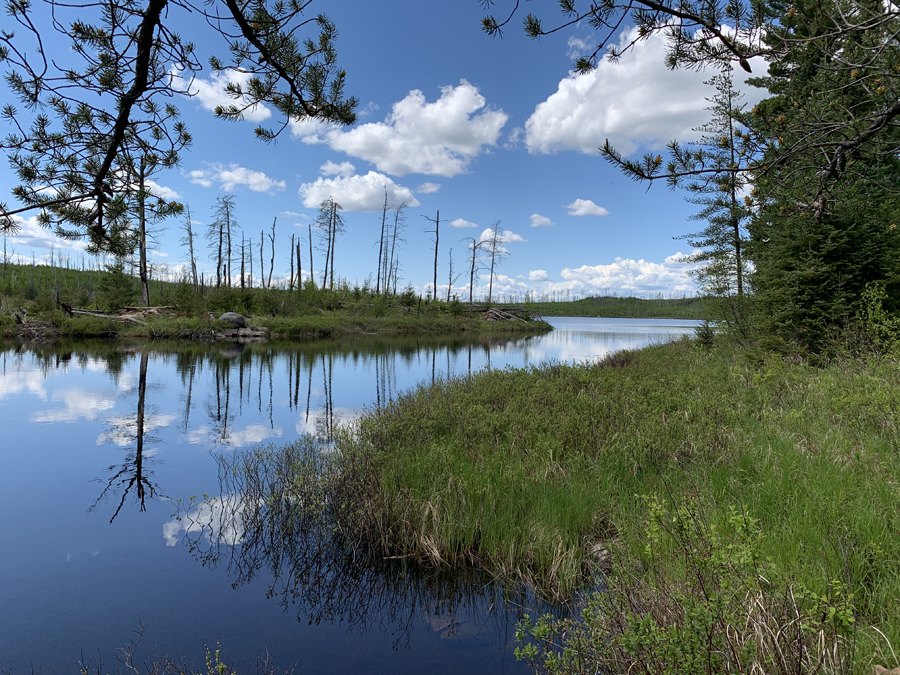 Square Lake Campsite 9