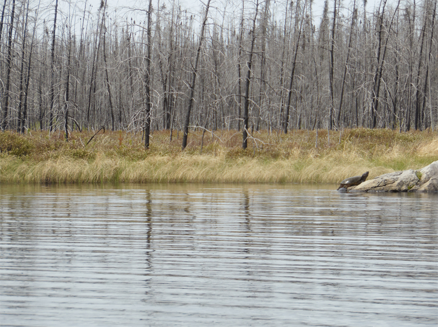 Square Lake 3