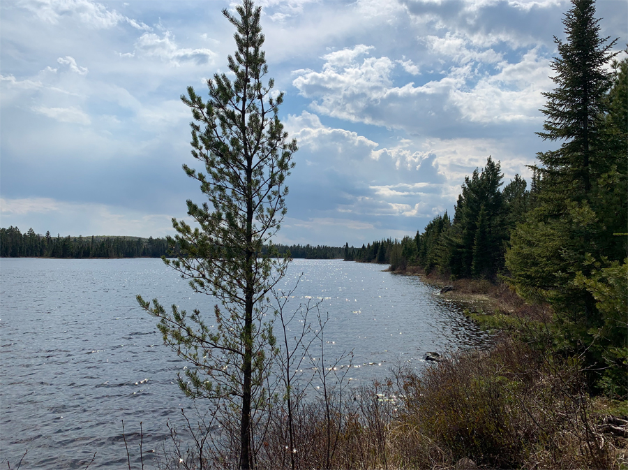 Sunhigh Lake Campsite 7