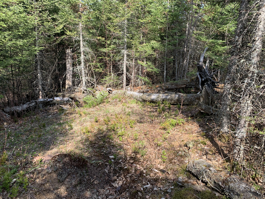 Sunhigh Lake Campsite 5