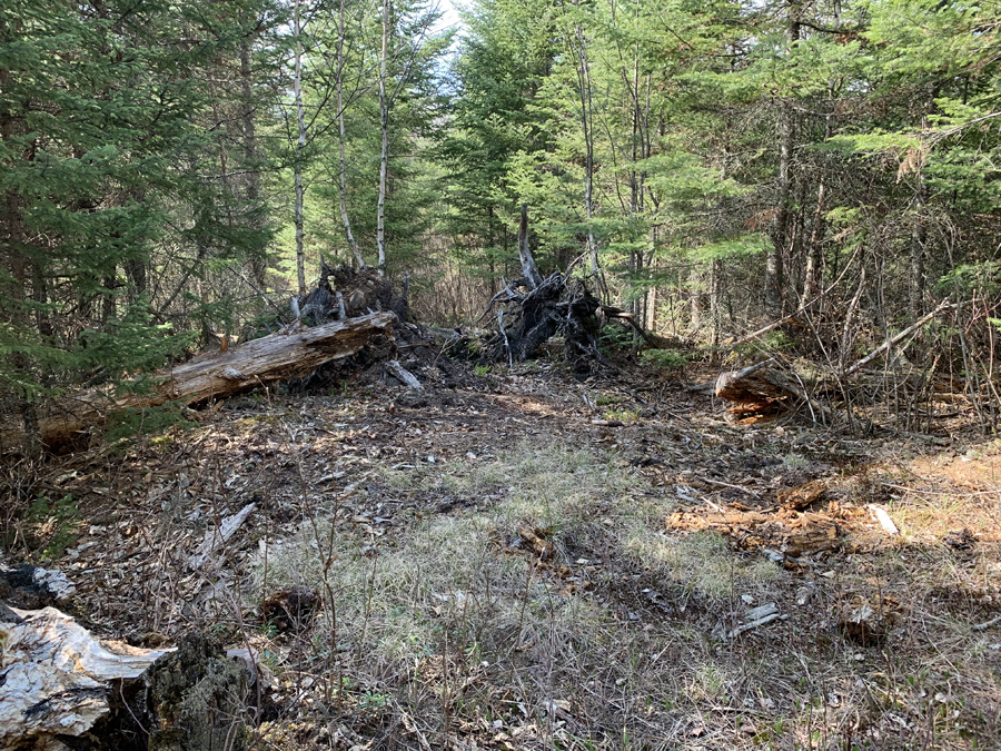 Sunhigh Lake Campsite 4