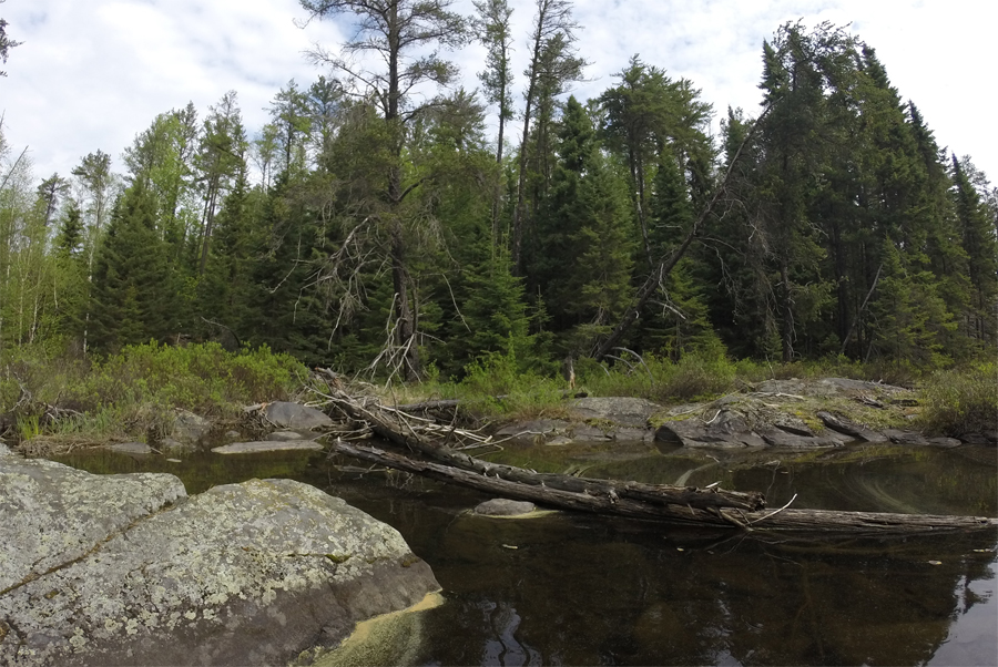 Town Lake to Vesper Lake Portage 2