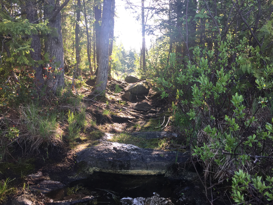 Cherokee Lake to Town Lake Portage 1