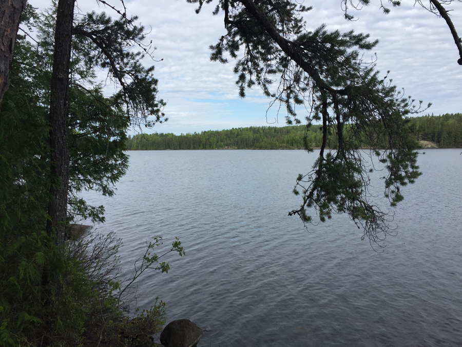 Town Lake Campsite 3