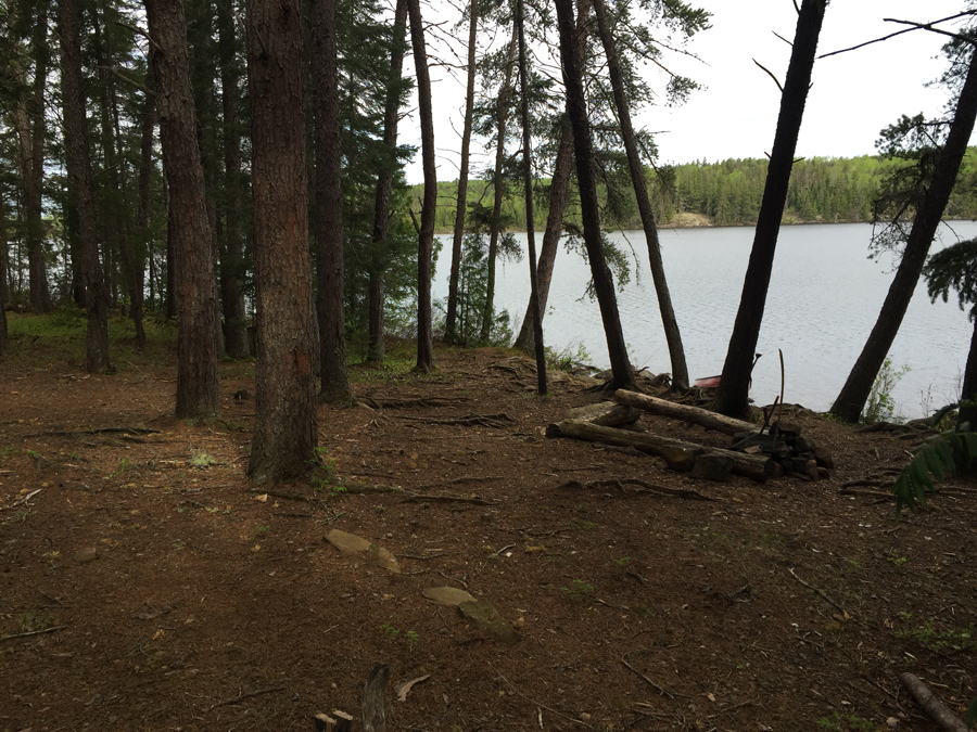 Town Lake Campsite 1