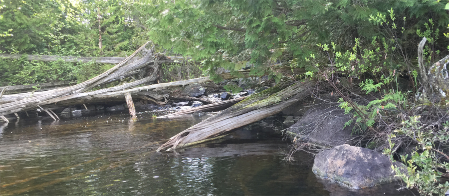 Creek flowing from Town Lake in BWCA