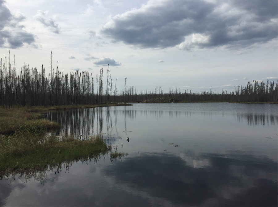 Kawasachong Lake to Townline Lake Portage 2