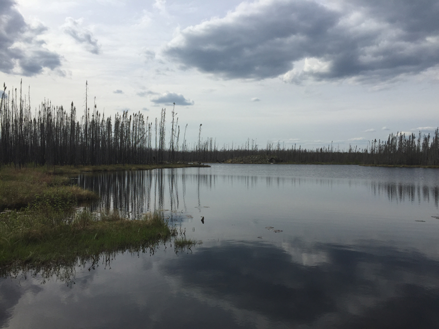 Townline Lake 1