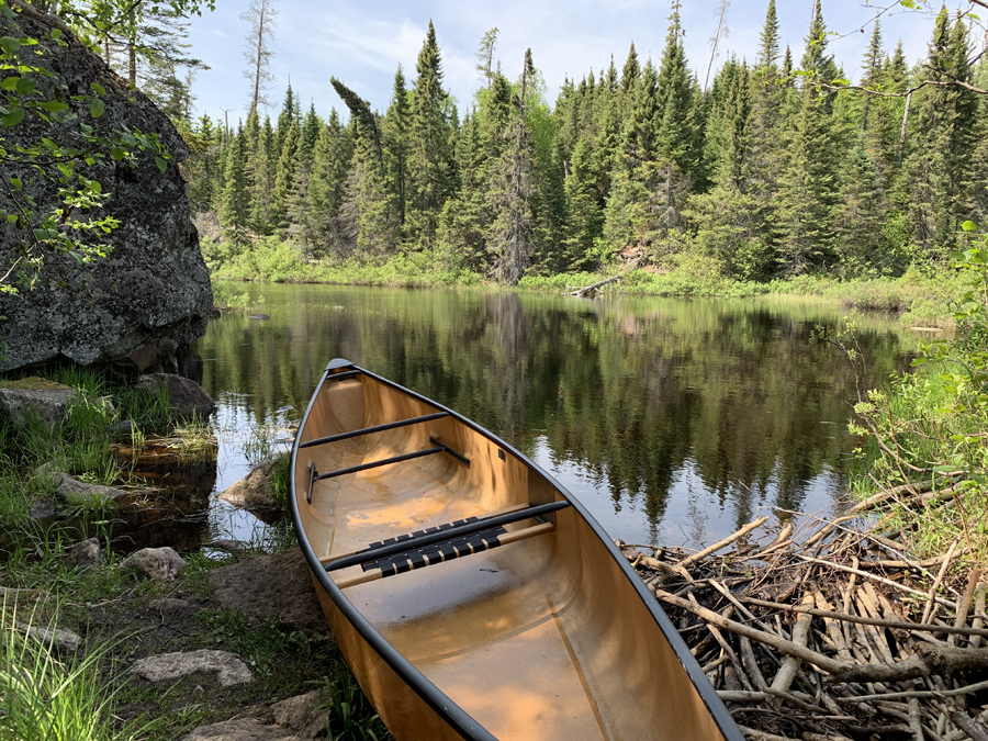 Homer Lake to Whack Lake Portage 2